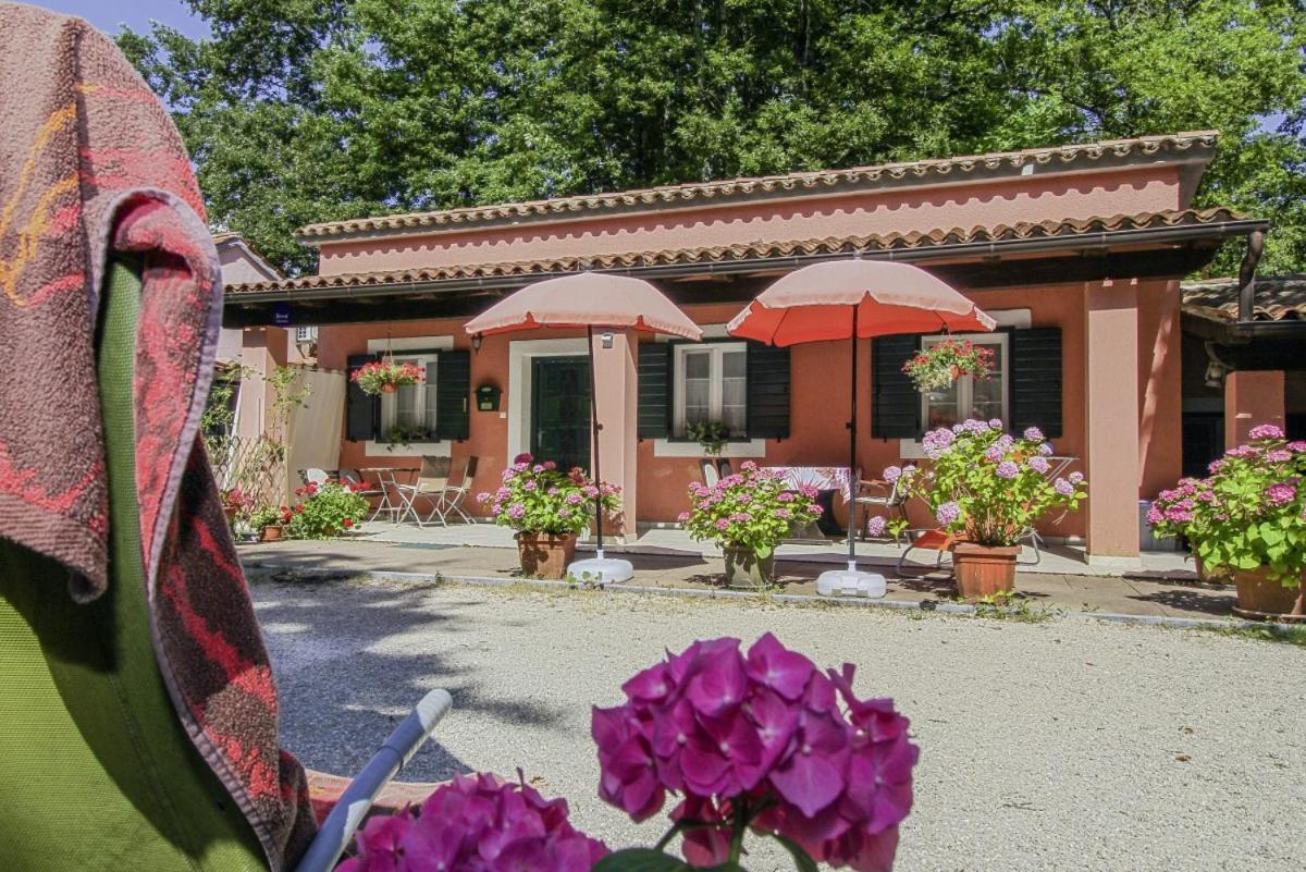 Dalibor in Jakačići - Haus für 2-4 Personen Gračišće Exterior foto